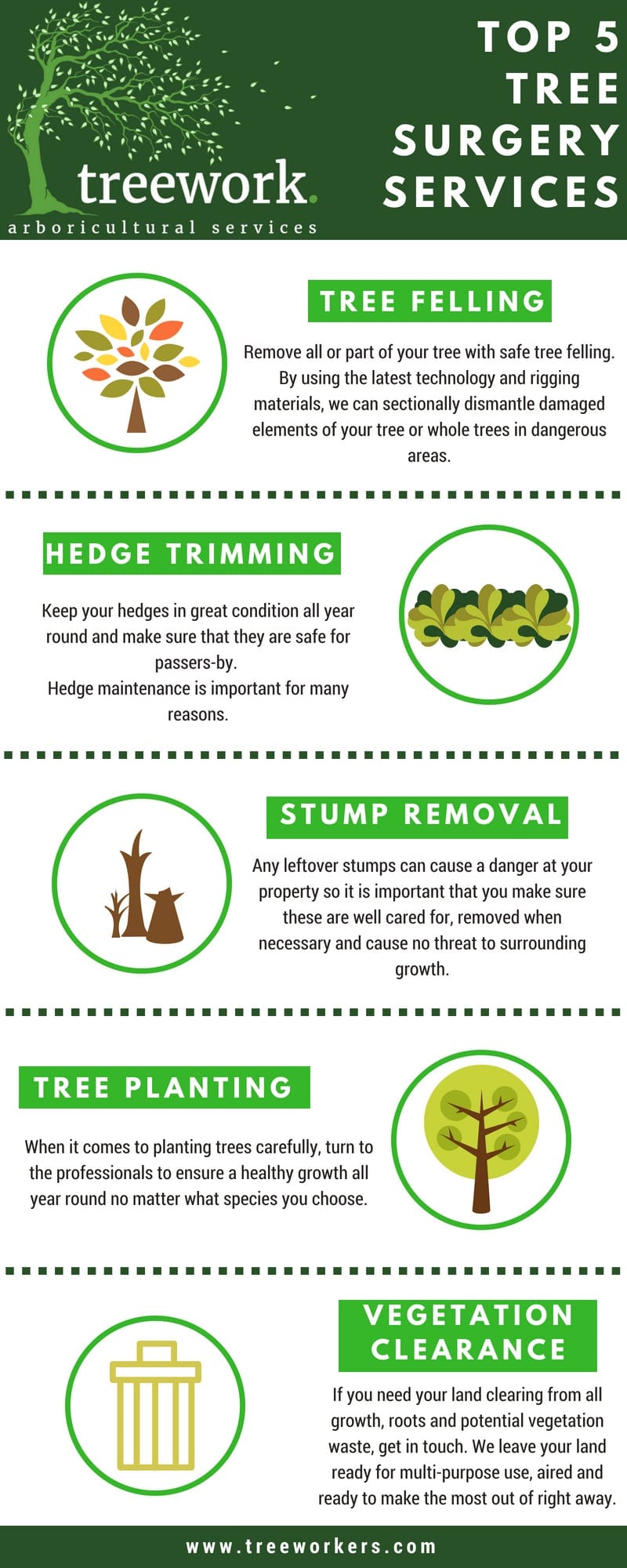 Top 5 Tree Surgery Services Leaflet